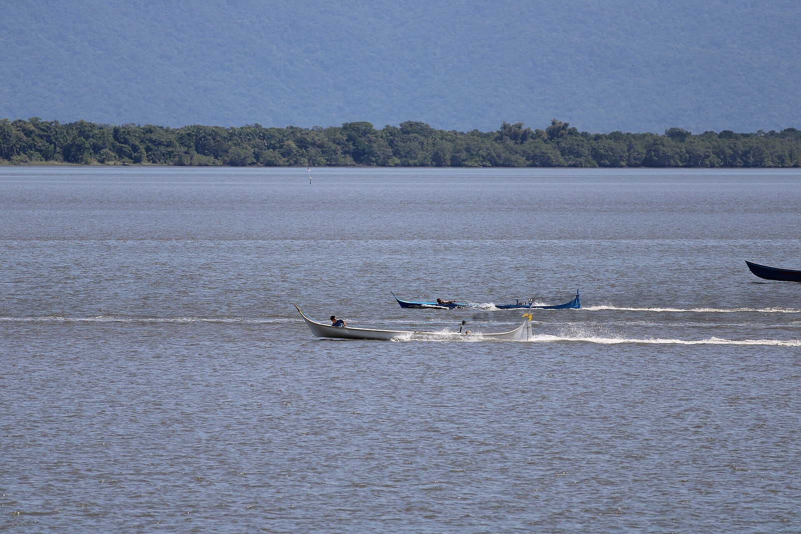 Área de Proteção Ambiental de Guaraqueçaba de nível Federal, localizado (a) em Antonina (PR), Campina Grande do Sul (PR), Guaraqueçaba (PR), Paranaguá (PR)