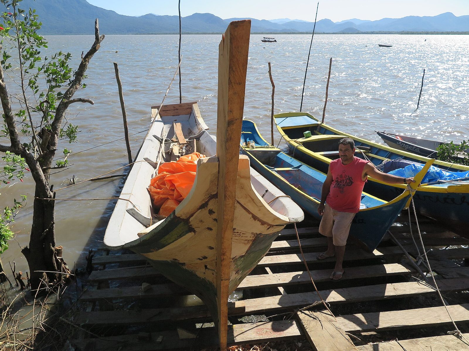 Wooden canoes drawn up on the shore between tides, each one carved from a single trunk.