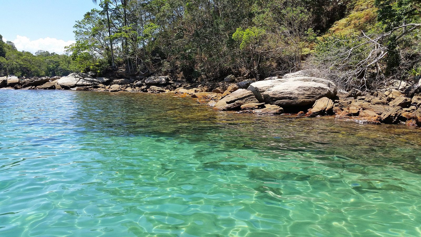Clear turquoise water washes over a rocky shoreline, the kind of terrain that defines these reefs.
