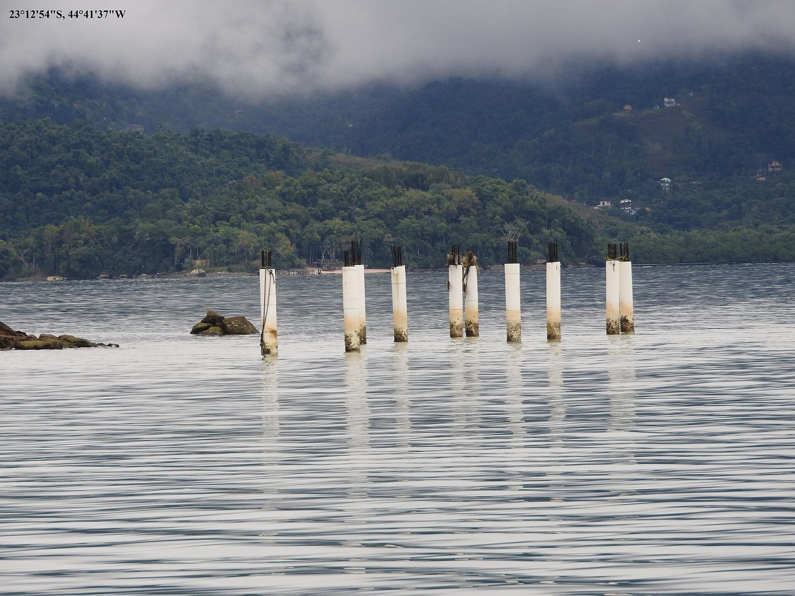 The misty bay off the waterfront, old wooden mooring posts standing in the shallows where the day boats tie up.