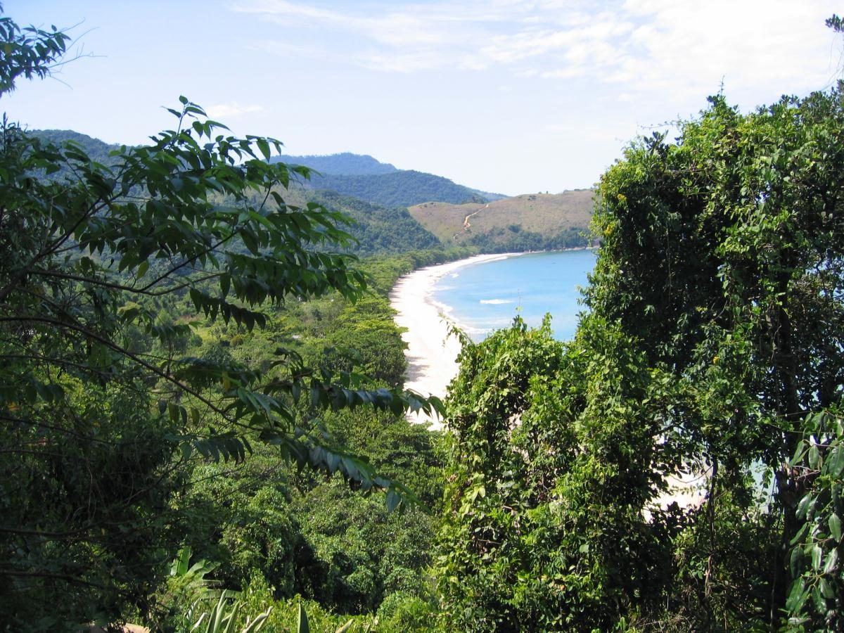 A view over a wild, forest-backed beach and its bay from high on the coastal trail — the reward for the climb over the headland.