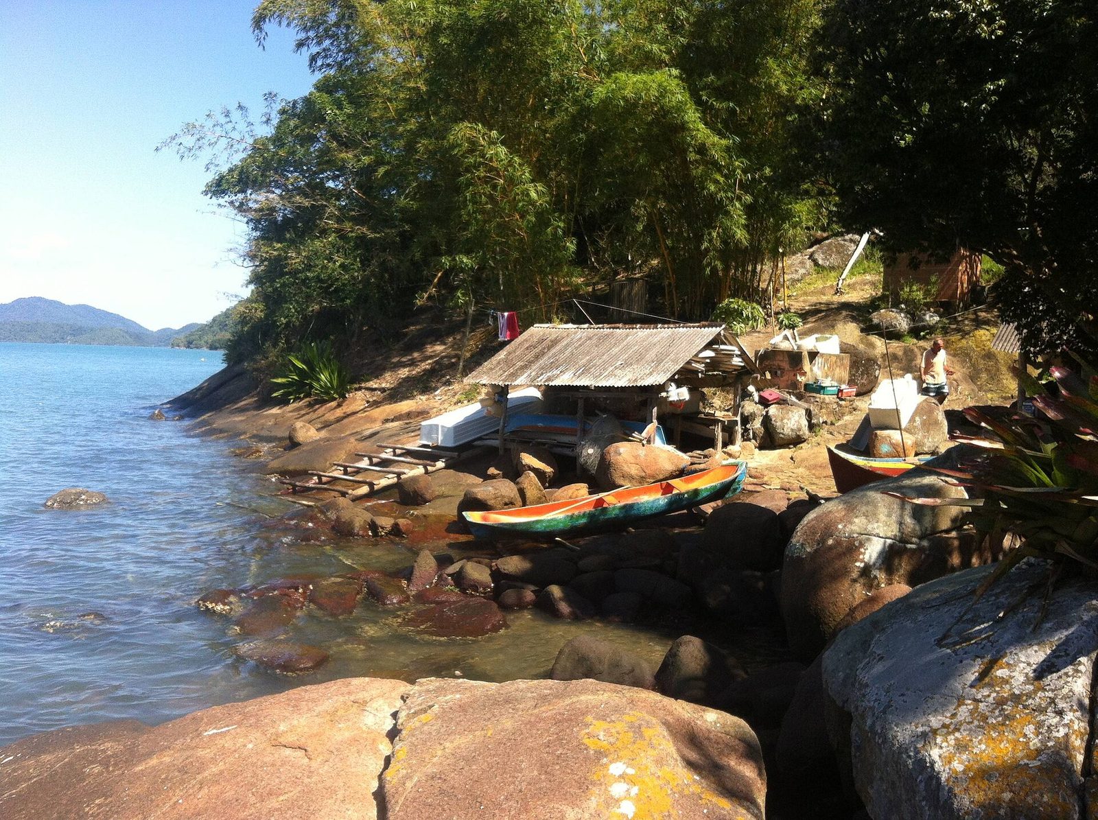 The rocky, forested shore of the bay, where the Atlantic Forest comes down to meet the still water.