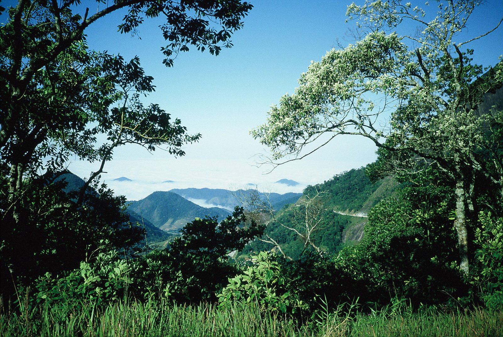 Ridge behind ridge in the Serra da Bocaina, the seaward slopes fading into their own weather.