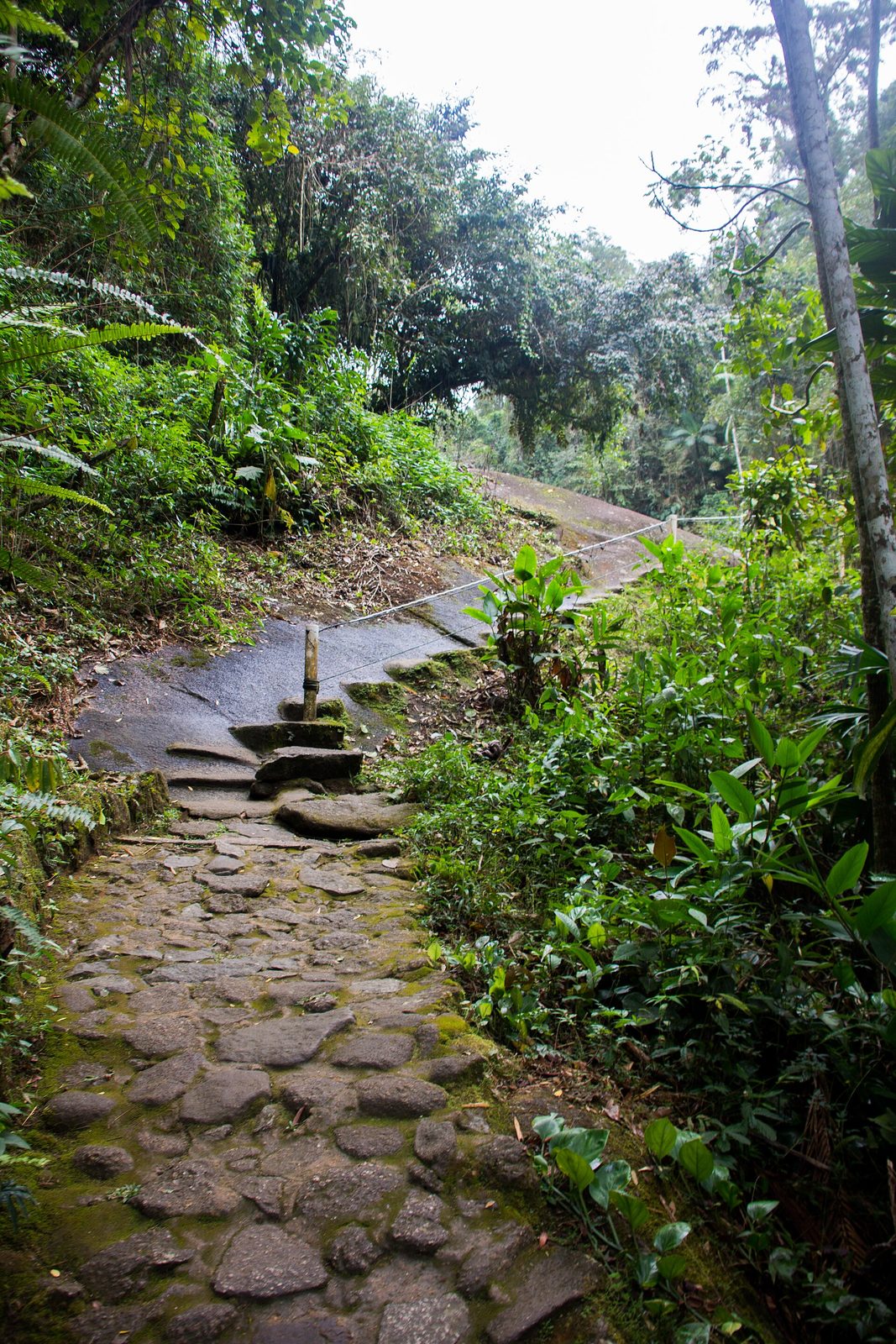 Restored colonial stone paving on the old gold road climbing into the Serra da Bocaina, worn smooth by generations of feet and mule trains.